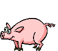 O Fiscal e os Porcos